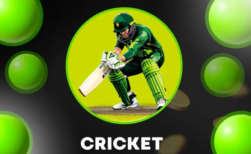 Winwin-Cricket.webp